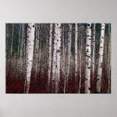 森の中。 ポスター (正面)