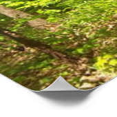 森の中 ポスター (角)