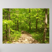 森の中 ポスター (正面)