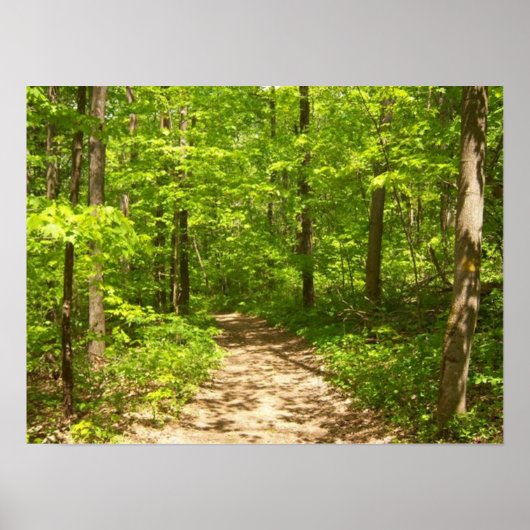 森の中 ポスター (正面)