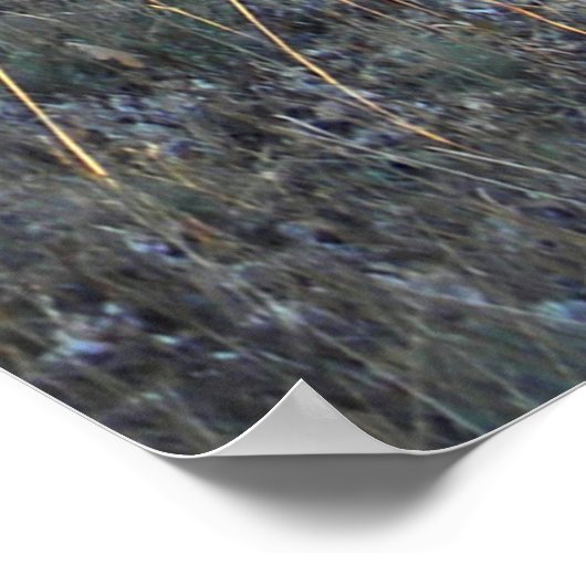 森の中….. ポスター (角)