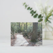 森の中 ポストカード (スタンド正面)