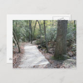 森の中 ポストカード (正面/裏面)