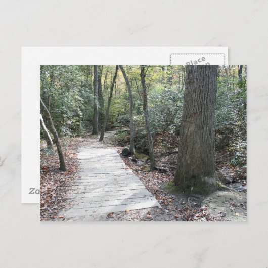 森の中 ポストカード (正面/裏面)