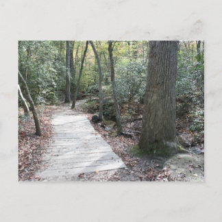 森の中 ポストカード