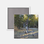 森の中….. マグネット (正面/裏面)