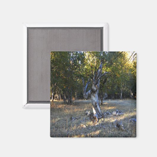 森の中….. マグネット (正面/裏面)