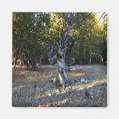 森の中….. マグネット (正面)