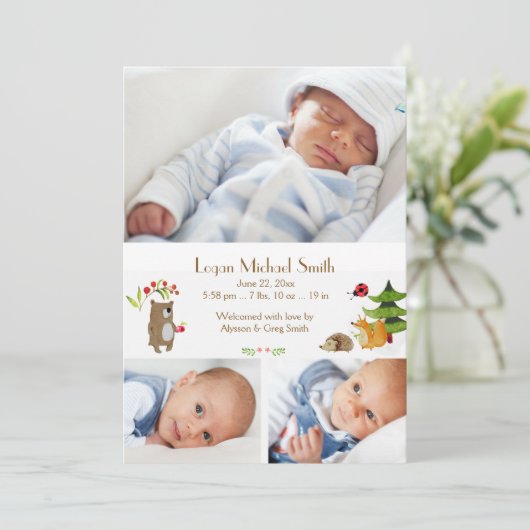 森の仲間の写真誕生のお知らせ 案内状 (スタンド正面)