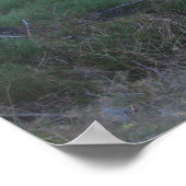 森の光のビームのポスター ポスター (角)