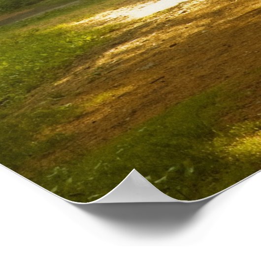 森の光の光 ポスター (角)