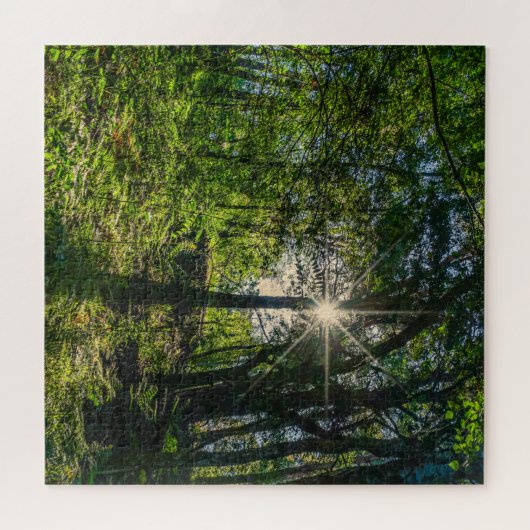 森の光 ジグソーパズル (横)