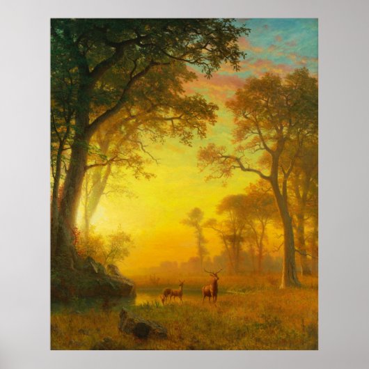 森の光 ポスター (正面)