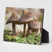 森の写真ブロックのキノコ フォトプラーク (側面)