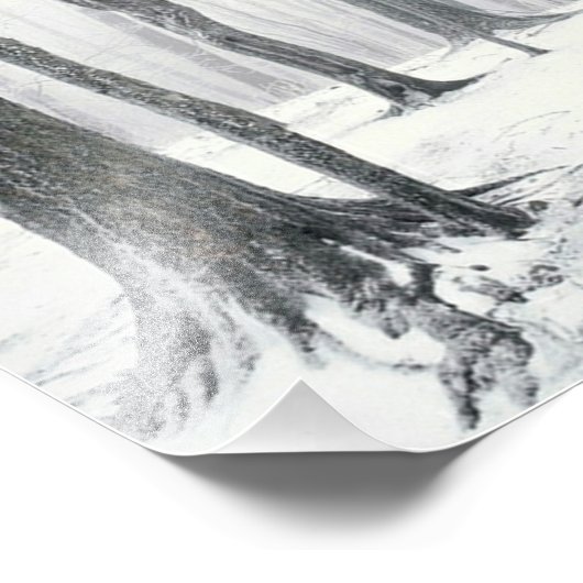 森の冬 フォトプリント            (角)