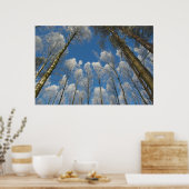 森の凍っていポスター ポスター (キッチン)