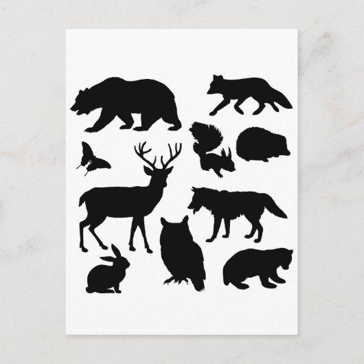 森の動物,野生動物 ポストカード (正面)