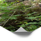 森の古い破壊された橋 ポスター (角)