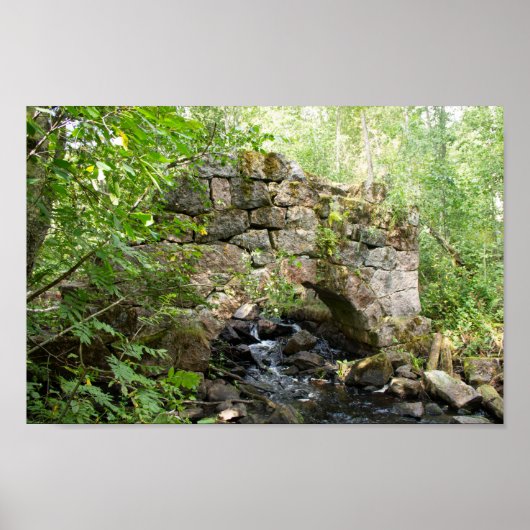 森の古い破壊された橋 ポスター (正面)