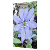 森の囁き – 薄紫のワイルドフラワーのために クリップボード (左)