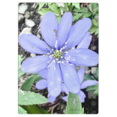 森の囁き – 薄紫のワイルドフラワーのために クリップボード (裏面)