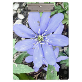 森の囁き – 薄紫のワイルドフラワーのために クリップボード