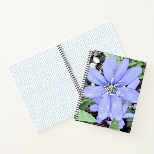 森の囁き – 薄紫のワイルドフラワーのために ノートブック (内部)