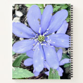 森の囁き – 薄紫のワイルドフラワーのために ノートブック (裏面)