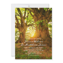 森の夏の木素朴の緑の国の結婚式