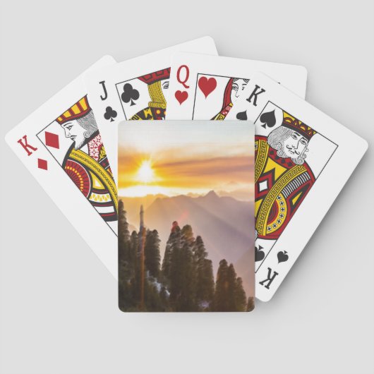 森の夕日 トランプ (裏面)