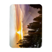 森の夕日 マグネット (縦)