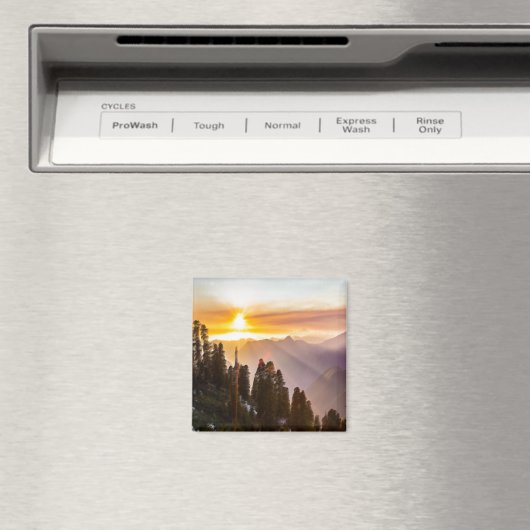 森の夕日 マグネット (インサイチュ (食洗機))