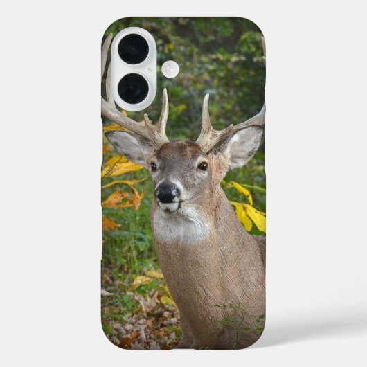 森の大きな牡鹿 Case-Mate iPhoneケース (裏面)