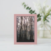 森の大聖堂インスパイアの写真 ポストカード (スタンド正面)