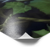 森の女性 フォトプリント            (角)