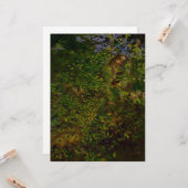 森の孔雀 カード (正面/裏面インサイチュ)