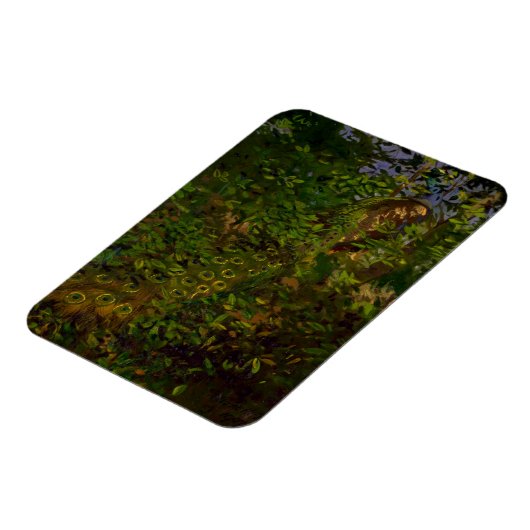 森の孔雀 マグネット (左側)