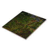 森の孔雀(Abbott Henderson Thayer) タイル (側面)