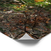 森の小さな中川 ポスター (角)