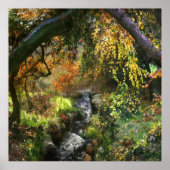 森の小さな中川 ポスター (正面)