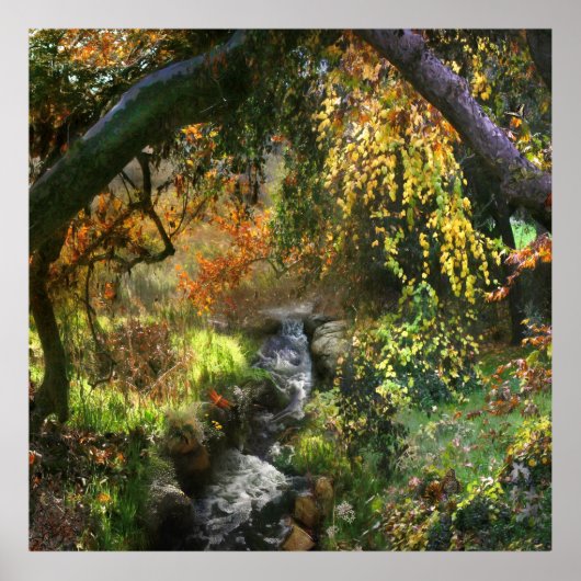 森の小さな中川 ポスター (正面)