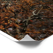 森の小さな中川 ポスター (角)