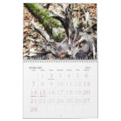 森の小屋 カレンダー (2月 2027)