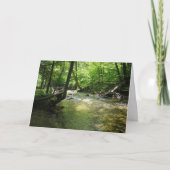 "森の小川" サンキューカード (正面)