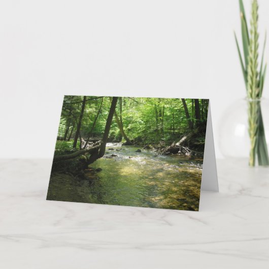 "森の小川" サンキューカード (正面)