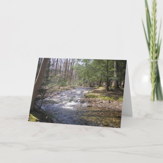 "森の小川II" サンキューカード (正面)