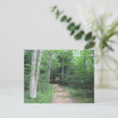 森の小径 ポストカード (スタンド正面)