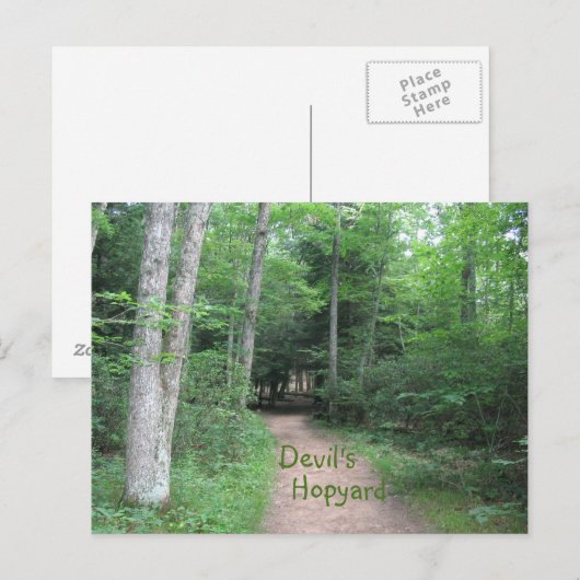 森の小径 ポストカード (正面/裏面)