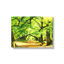 森の小径、ロビン・フッドの森