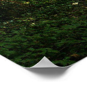 森の小道 ポスター (角)